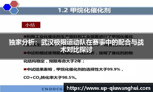 独家分析：武汉极限运动队在赛事中的配合与战术对比探讨